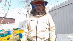 РАЗВИТИЕ ОТВОДКОВ ПЧЕЛОПАКЕТОВ РАНЕЙ ВЕСНОЙ НАД СЕМЬЁЙ