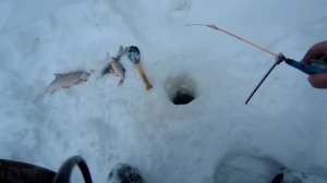 Рыбалка на реке Етыпур январь 2022