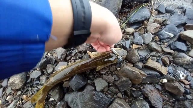 Рыбалка. Флюорокарбоновые поводки смотреть онлайн