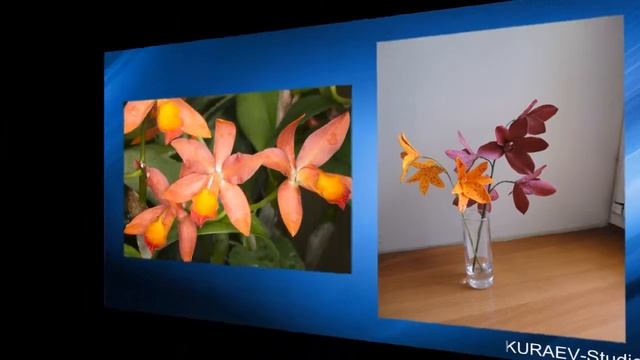 Отчет Кураевой О. по Школе свадебной флористики М. Хвалевой смотреть онлайн