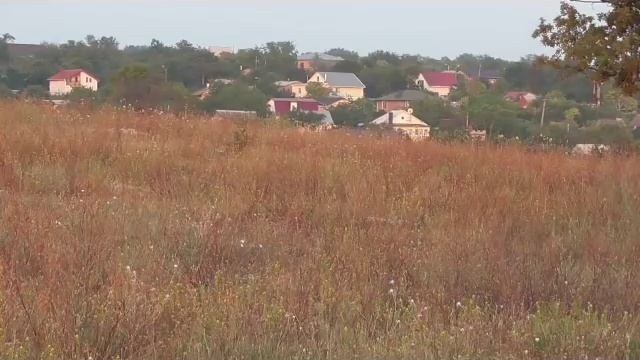 Ловушка. Охота на пчел. Выбор перспективного места и правила установки ловушек. смотреть онлайн