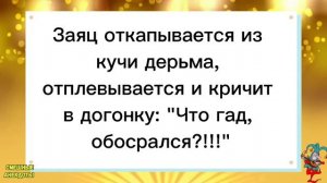 ?Сидит на берегу Обкуренный Заяц!Смешные анекдоты!Смех!Юмор!Подборка весёлых Анекдотов!