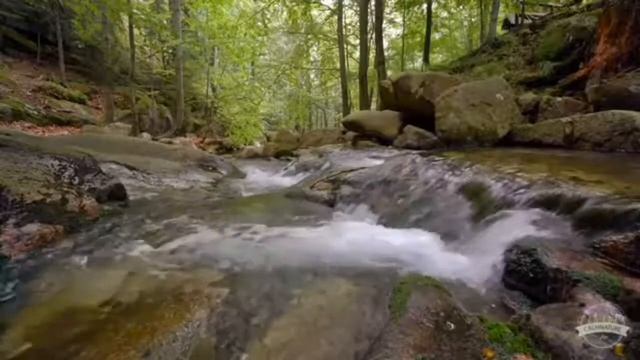 Гнев не выход #мотивация смотреть онлайн