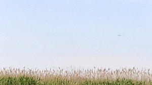 Рыбалка р Кирпили. Тимашевск.Карась клюет!