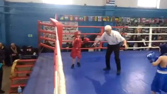 Предновогодний турнир по Боксу МБУДО ДЮСШ 21.12.19 г.Бахчисарай смотреть онлайн