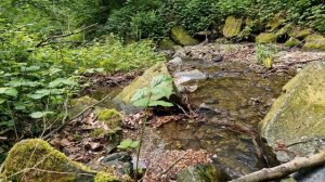 Звук ручья для нервов, отдыха и сна. Журчание ручья для успокоения нервов. Шум воды. Релакс.