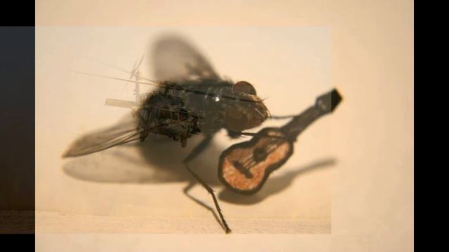 Часовая версия песни "А муха тоже вертолет" смотреть онлайн