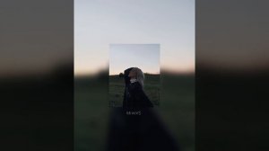 Дайте танк-утро//я провожу тебя до лифта и обниму (speed up)