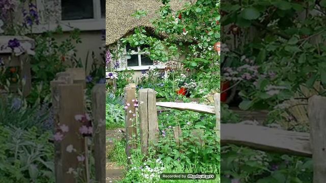 Где кот ? Как его найти ? Одна не нашла кота! смотреть онлайн