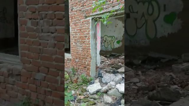 Ульяновск.Винновская роща. Заброшенный рыбзавод.