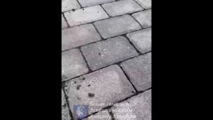 Лайфхак. Вот один из вариантов