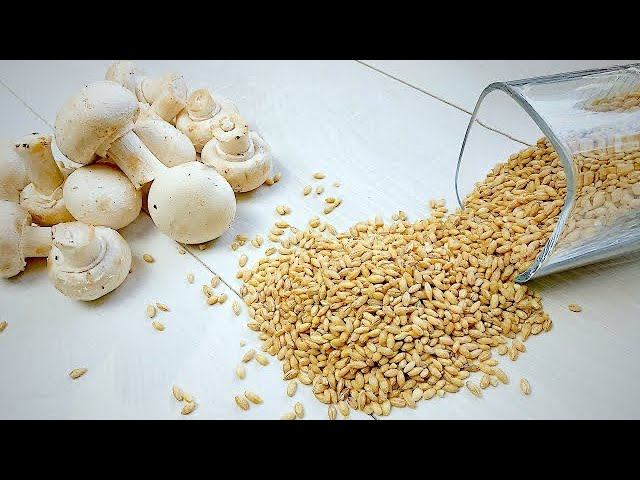 ТАК ПРОСТО и Так Вкусно. Как быстро приготовить Перловую Кашу с Грибами смотреть онлайн