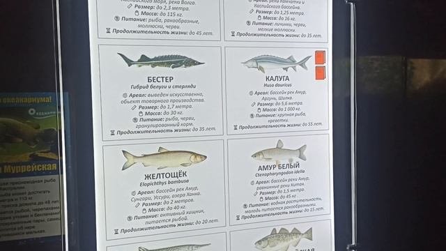 Пенза 2023✨ Наш отдых✨