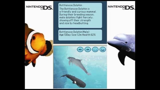 Aquarium by DS and Fantasy Aquarium by DS смотреть онлайн