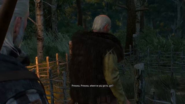 Witcher 3: Wild Hunt #6 (something for overweight problem) смотреть онлайн