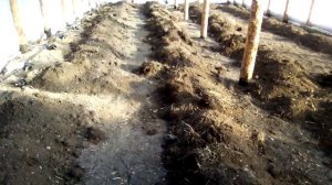 Подготовка почвы в теплице!