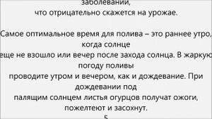 Как часто поливать огурцы в теплице