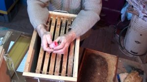 ловушка для пчел. Как сделать ловушку для пчел своими руками. Пчеловодство. Пасека. Пчелы