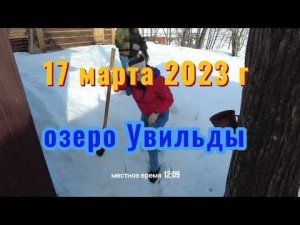 Убираем снег на даче и осматриваем мостки на озере Увильды 17 марта 2023 г