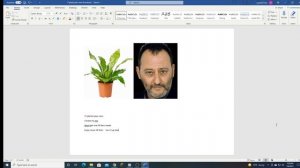 17 Plants/Jean Reno