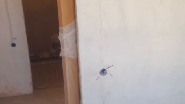 Бюджетный электромонтаж в квартире смотреть онлайн