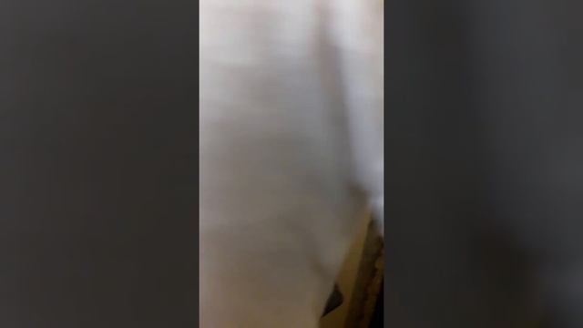 Подарок для воспитателя смотреть онлайн