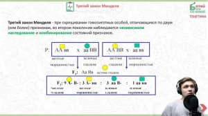 Генетика ЕГЭ(Законы Менделя)