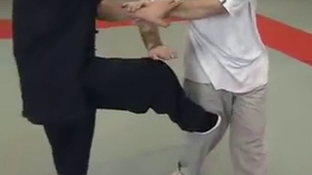 Мастер класс по технике вин-чун (2005 год) смотреть онлайн