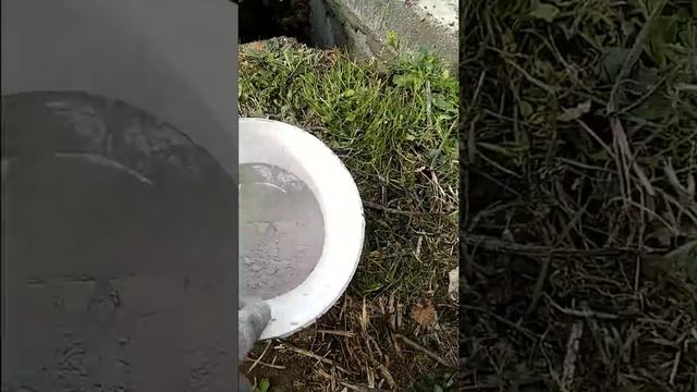 Герметичный септик