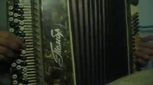 Алеша жарил на баяне