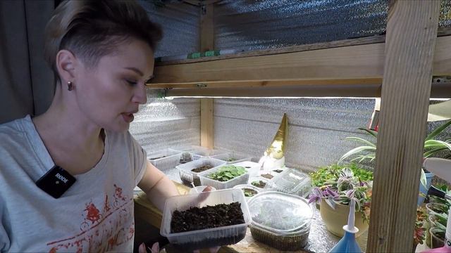 ЭУСТОМА УЖЕ ВЗОШЛА,ЧТО ДАЛЬШЕ? смотреть онлайн