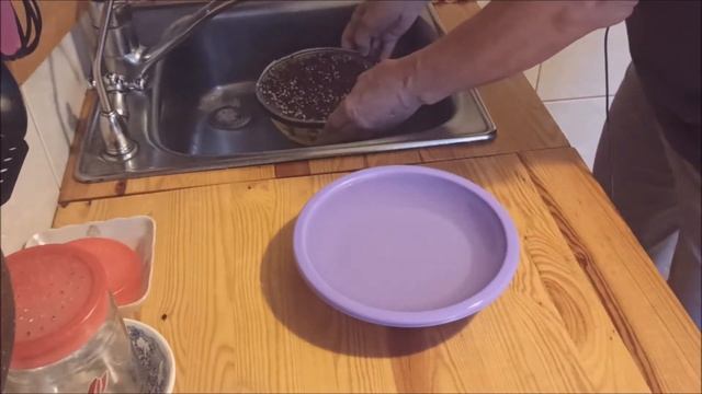 Проростки без проблем. Зелёные ростки брокколи+каша пюре.