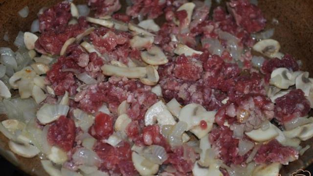 Бурито с мясом и грибами