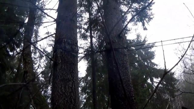 Как я жену топил. Часть 3. Река Страча март 2017. смотреть онлайн