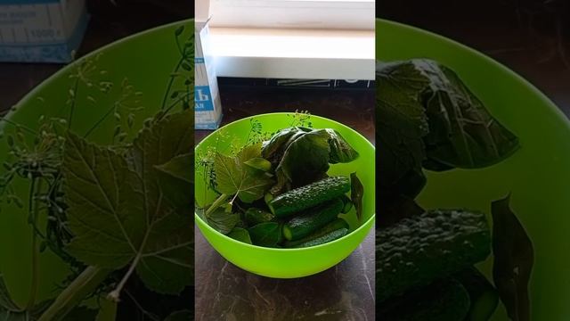 Рецепт малосольных  огурцов #рецептмалосольныхогурцов.