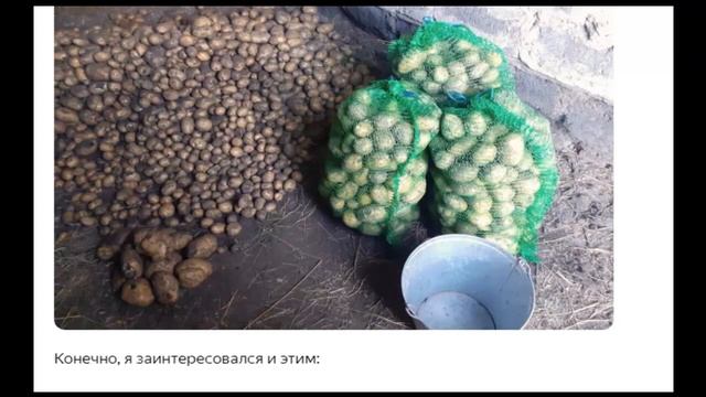 Русские, почему вы такие стойкие" Как американец сортировал картошку после копки в России смотреть онлайн