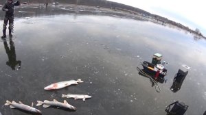 Рыбак из-за невнимательности провалился под лед.