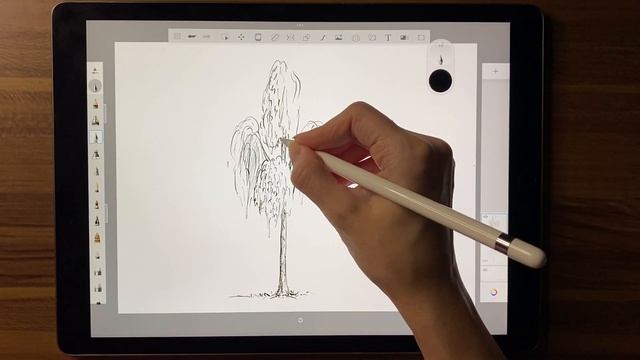 2 день челленджа. Рисуем дерево - березу. Программа SketchBook