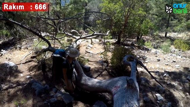 Likya Yolu Bölüm 26: Adrasan-Olympos-Çıralı