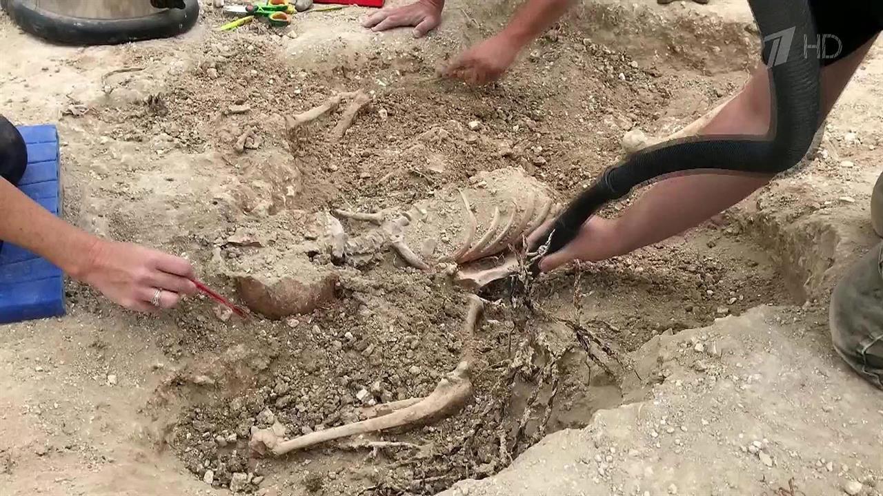 Во Франции поставят монумент в память о русских солдатах, павших на полях Первой мировой войны