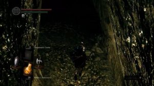 Прохождение Dark Souls Remastered 38 (Костер в Склепе Великанов и снова Лоскутик)
