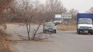 Объезд дерева на дороге