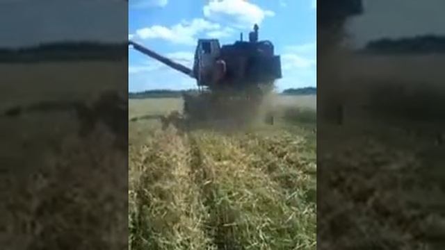 Нива СК-5 с роскидачкой соломи смотреть онлайн
