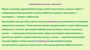 Миофасциальный синдром грушевидной мышцы. Гимнастика для пораженной мышцы 1 часть / Обучение МЦПО