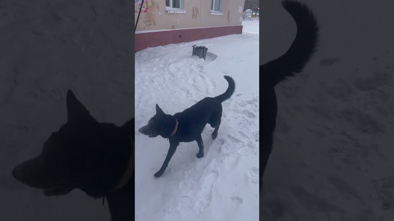 17 февраля 2024 г. смотреть онлайн