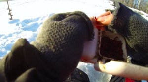 Плотва на чертика и мормышку зимой | Раздача в глухозимье | Рыбалка на плотву