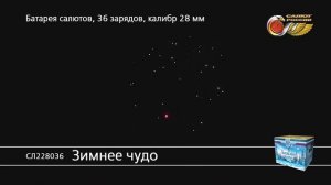 СЛ228036 Зимнее чудо