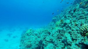 Испытание камеры GoPro под водой