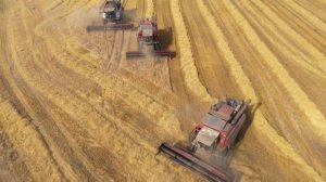 Grain harvesting. Уборка зерновых в Рязанской области