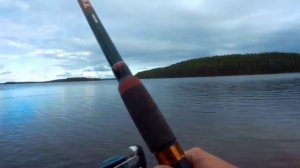 Карелия 2020. Рыбалка. Сбор грибов. Семейный отдых. Дни 11и12. Природа. Озеро Суоярви.